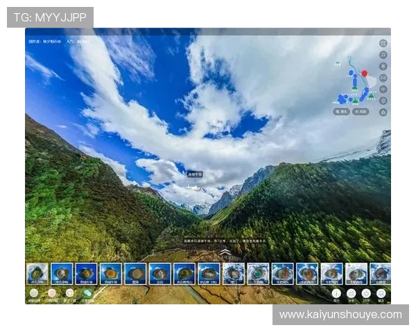 探索开云官方网页的使用技巧，提升您的网络购物效率与体验